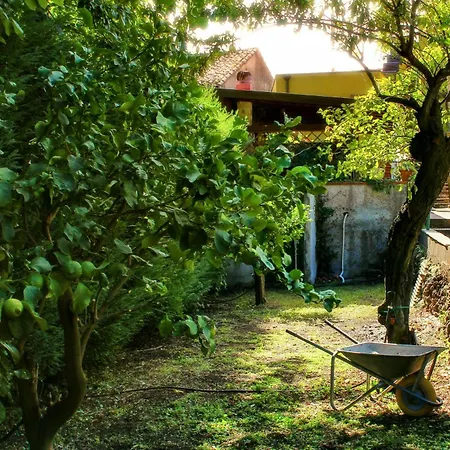 Etna Garden Francesca Σπίτι διακοπών *