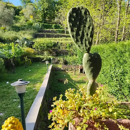 Etna Garden Francesca Presa